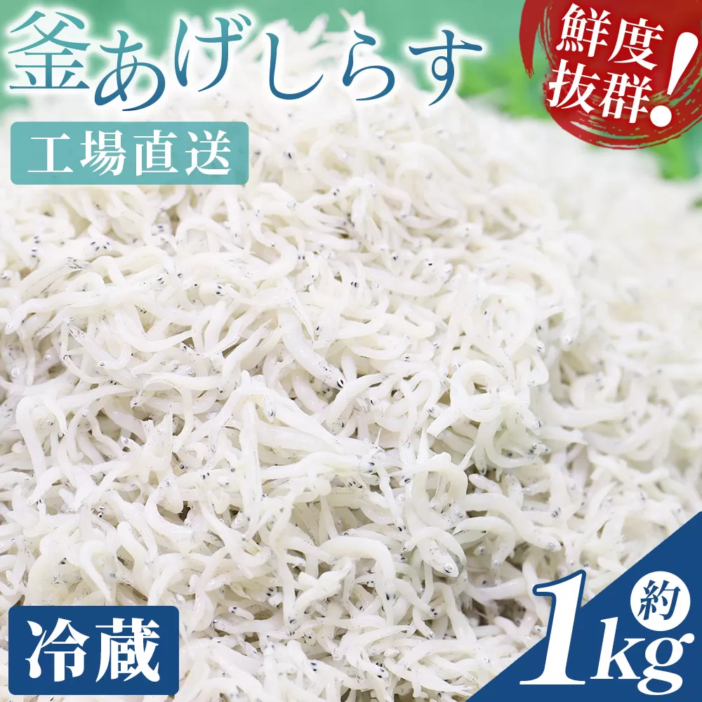【冷蔵】釜あげしらす(ちりめん) 約1kg - 国産 ちりめん しらす シラス 稚魚 魚介 魚 海産物 天日干し 釜茹で ドロメ サラダ 和え物 アレンジ 料理 ご飯のお供 三浦屋海産 高知県 香南市 冷蔵 mu-0008