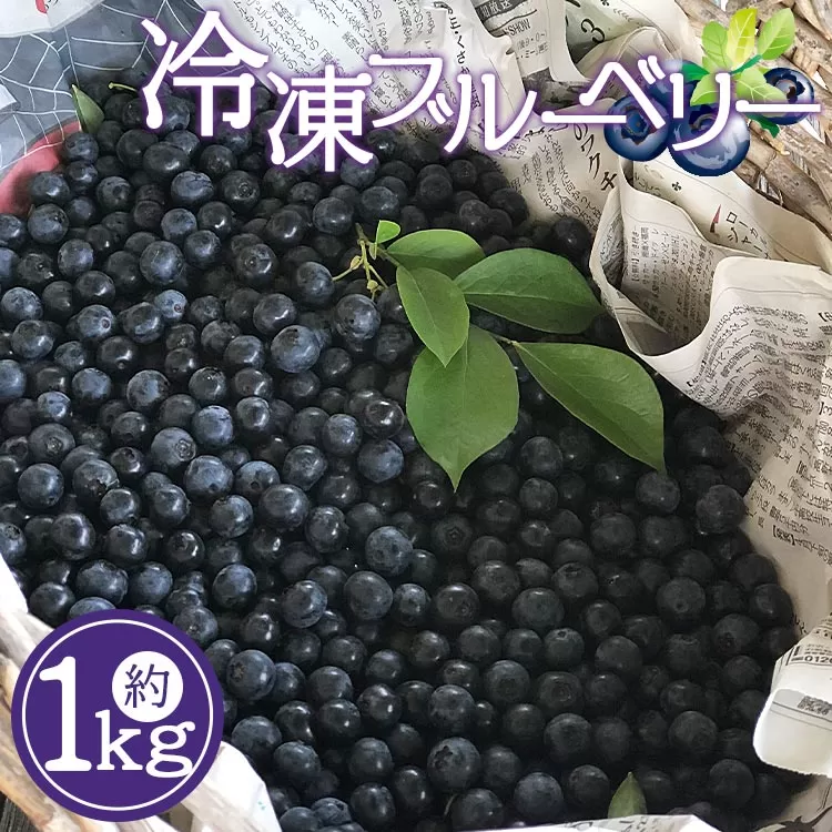 冷凍ブルーベリー 1kg  eh-0031