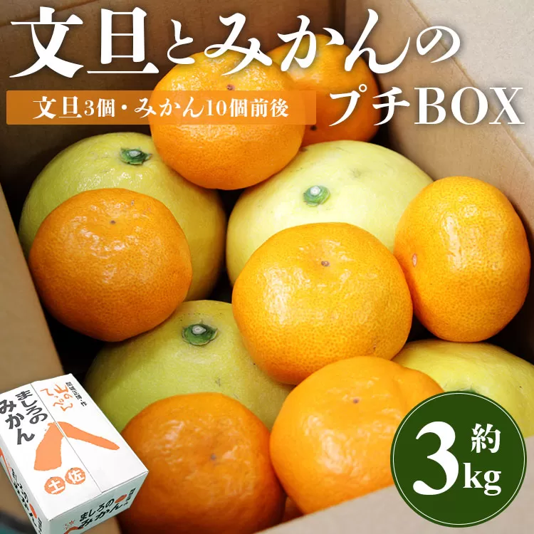 【先行予約】文旦とみかんのプチBOX 約3kg - 果物 くだもの フルーツ 柑橘類 ぶんたん ブンタン ミカン 詰め合わせ つめあわせ セット 食べ比べ お楽しみ お試し おいしい 特産品 間城農園 高知県 香南市 ms-0040