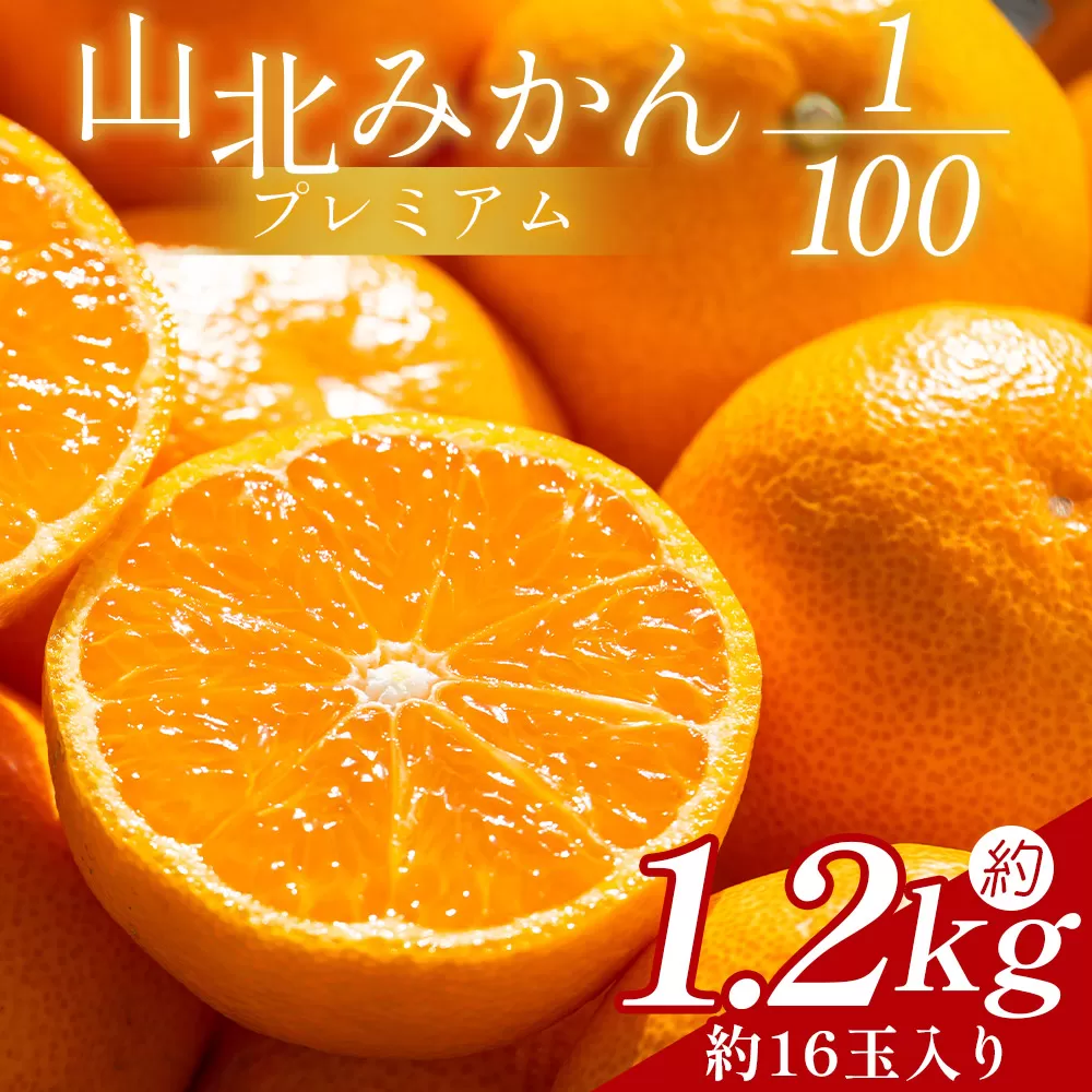 山北プレミアムみかん 1/100(サイズ:S) 1.2kg 約16玉入り - 国産 柑橘 柑橘類 果実 果物 フルーツ 青果 温州みかん みかん 蜜柑 ミカン 高知県 香南市 常温 yk-0056