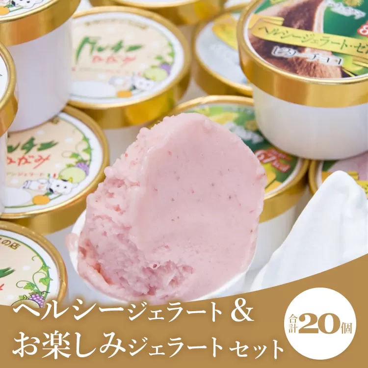 ドルチェかがみ ヘルシージェラート&お楽しみジェラートセット 20個入り dc-0029