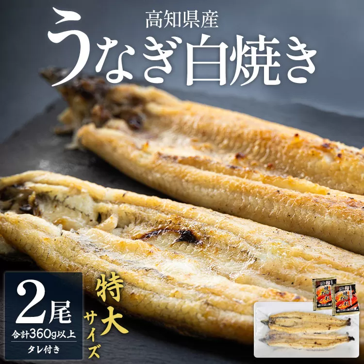 高知県産うなぎの白焼き 特大サイズ 2尾（合計360g以上）タレ付き - 鰻 ウナギ 夕飯 おつまみ 丑の日 のし対応可 ギフト 贈答 クリスマス 年末年始 国産 吉川水産 高知県 香南市【冷凍】 yw-0044