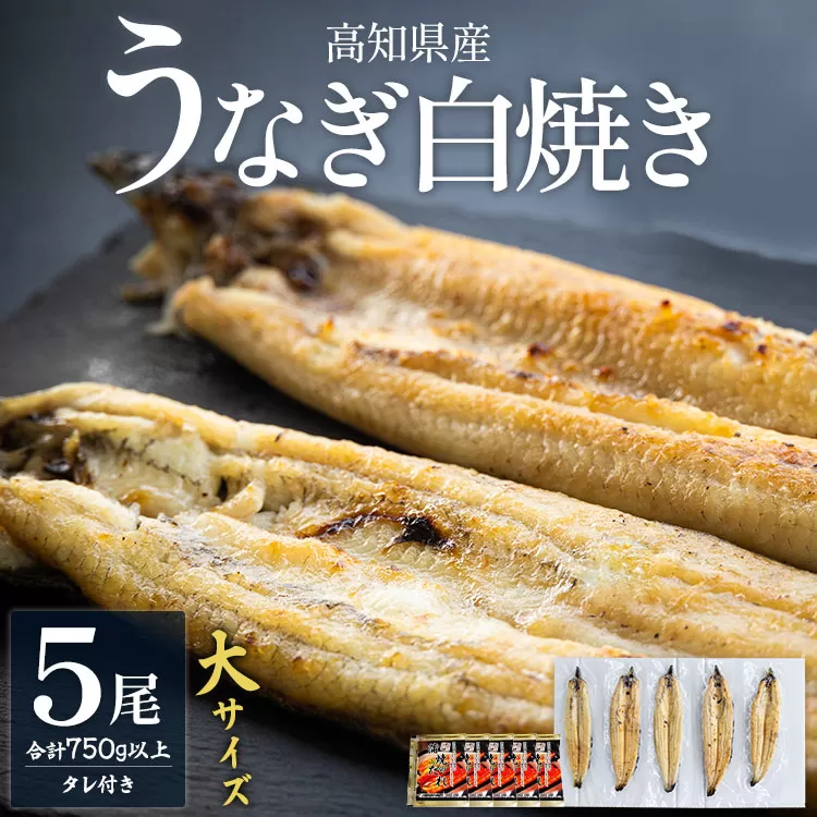 高知県産うなぎの白焼き 大サイズ 5尾（合計750g以上）タレ付き - 送料無料 鰻 ウナギ 晩ご飯 夕飯 おかず 魚 肴 おつまみ 国産 贈答用 贈り物 吉川水産 高知県 香南市 yw-0068