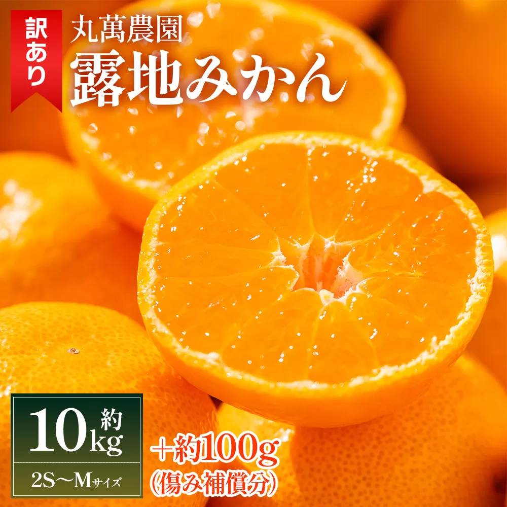 【2025年出荷分】露地みかん(2S～Mサイズ) 10kg 家庭用 丸萬農園 - 果物 くだもの フルーツ 果実 柑橘 かんきつ 蜜柑 みかん ミカン 果汁 期間限定 訳あり 訳アリ キズ 傷 高知県 香南市 常温 mn-0005