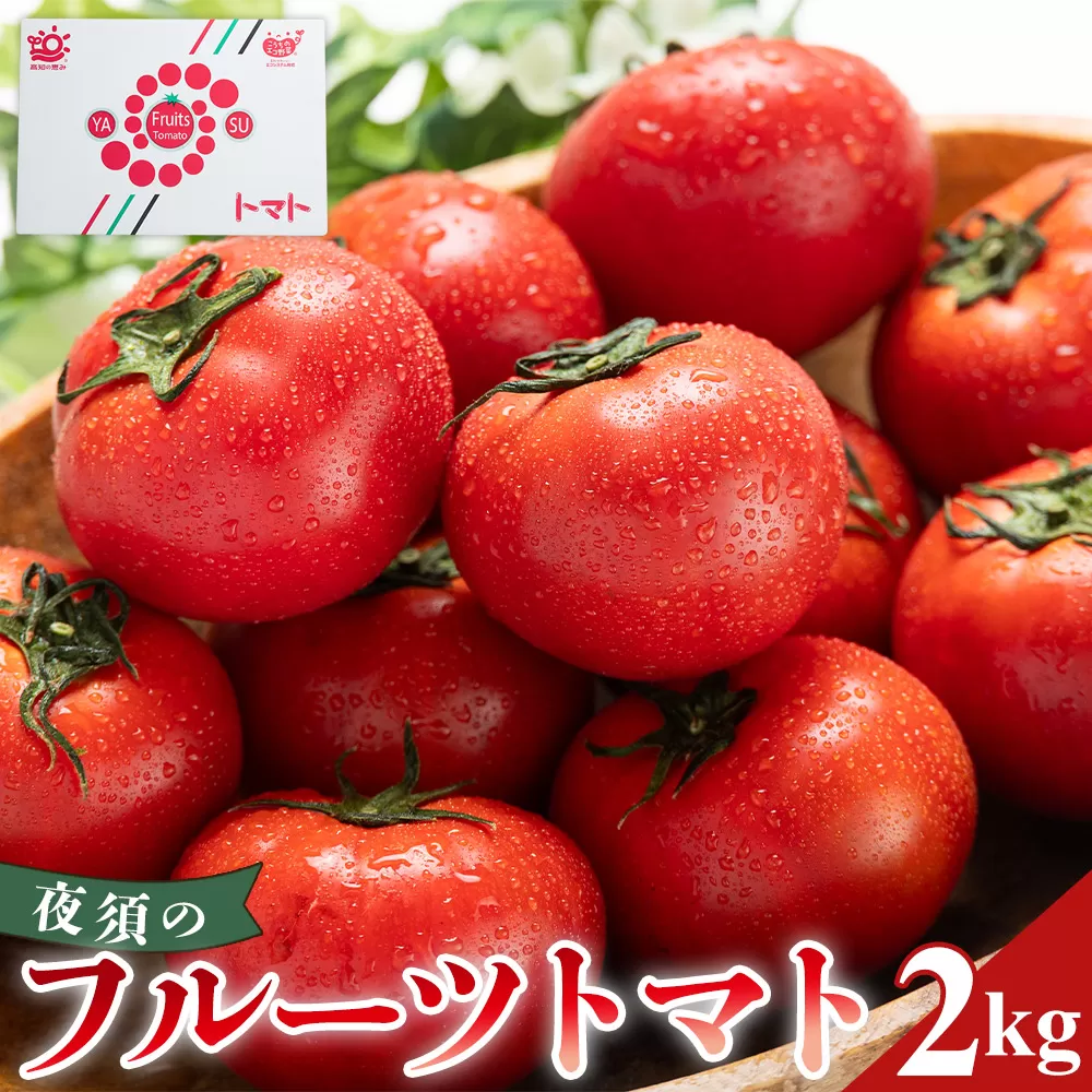 【2026年出荷分】夜須のフルーツトマト 約2kg 【旅サラダに取り上げられました！】 先行予約受付 期間限定 季節限定 野菜 やさい フルティカ 完熟 小ぶり 小さめ 糖度 熨斗 のし対応可 贈り物 おやつ サラダ フレッシュ 新鮮 送料無料 産地直送 高知県 香南市 yu-0018