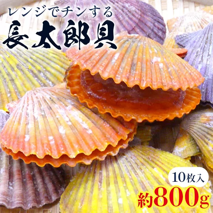 レンジでチン!する長太郎貝 10枚入 約800g - ヒオウギ貝 ひおうぎ貝 魚介類 海鮮 海産物 個包装 貝柱 酒蒸し バーベキュー BBQ アウトドア キャンプ 興洋フリーズ株式会社 高知県 香南市 冷凍 kf-0001