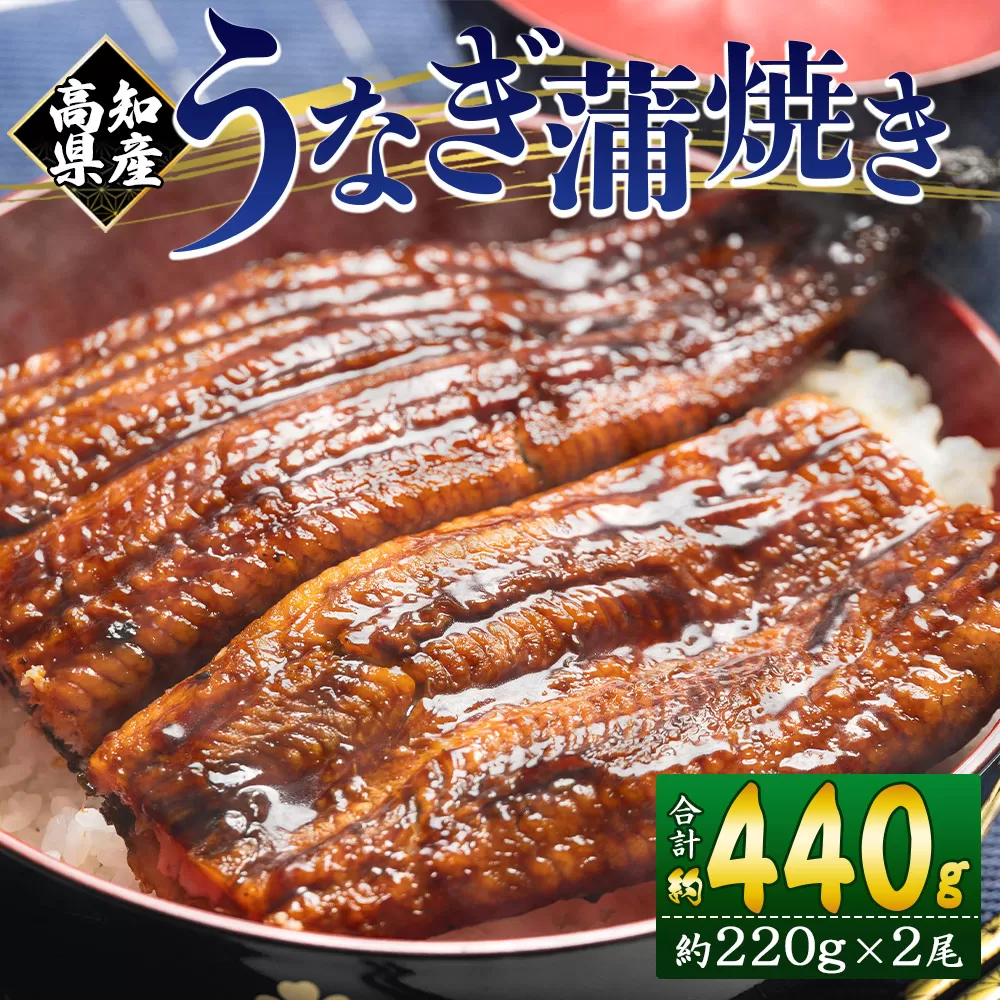 国産養殖うなぎ蒲焼き 2尾（合計約440g）高知県産鰻 - 鰻 ウナギ かばやき 蒲焼 土用の丑の日 スタミナ 夕飯 有頭 約220g おかず おつまみ うな丼 うな重 丼ぶり 丼物 さかな 肴 夕飯 夕食 朝食 お酒 グルメ 美味しい おいしい タレ付き たれ おいしい 美味しい ひつまぶし 丼ぶり 贅沢 ぜいたく お取り寄せ おとりよせ パック お祝い 内祝い 御礼 お礼 お歳暮 うなぎ大好き お礼 御礼 挨拶 あいさつ 贈り物 送料無料 高知県 香南市 冷凍 fb-0140