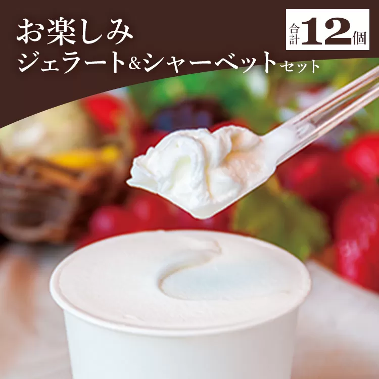 ドルチェかがみ お楽しみジェラート＆シャーベットセット 12個入り dc-0026