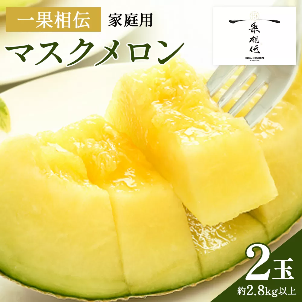 【期間限定】一果相伝 マスクメロン 家庭用 2玉入り - 送料無料 果物 くだもの フルーツ めろん 青肉 デザート スイーツ ご自宅用 美味しい おいしい 甘い あまい 篤農 とくのう ご褒美 ごほうび ちょっと贅沢 ぜいたく 高級 こうきゅう 特別 フレッシュ ジューシー 果汁 果肉 果実 おとりよせ お取り寄せ グルメ 記念日 誕生日 箱入り お礼 御礼 大きさ 不揃い 傷 キズ 網目 産地直送 高知県 香南市 常温 tn-0025