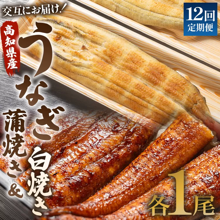 うなぎ 定期便 12回 うなぎ蒲焼き&白焼き120g 1尾(無頭)　交互にお届け 魚介 国産 海鮮 魚 かばやき 鰻 ウナギ 惣菜 おかず お手軽 加工品 加工食品 冷凍 しらやき セット 食べ比べ Wun-0046