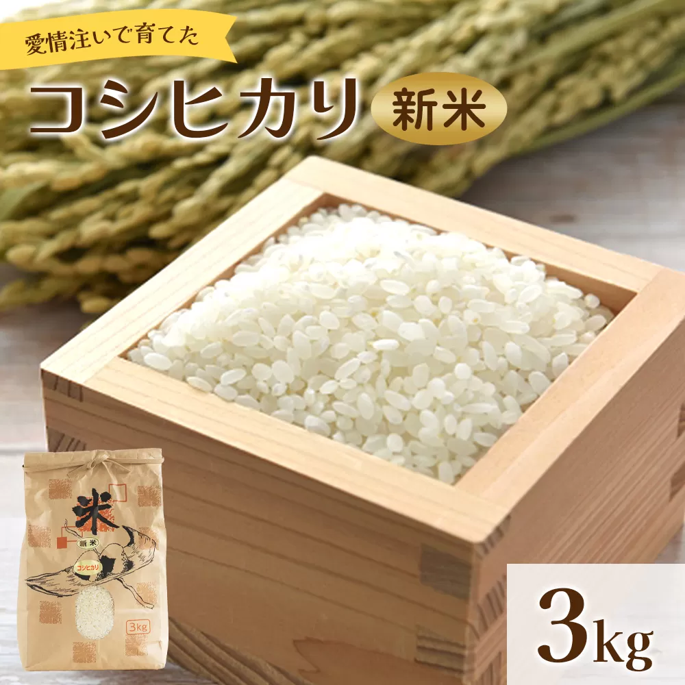 愛情注いで育てたコシヒカリの新米3kg - こしひかり お米 白米 精米 ご飯 ごはん 株式会社都築企画 高知県 香南市 td-0003