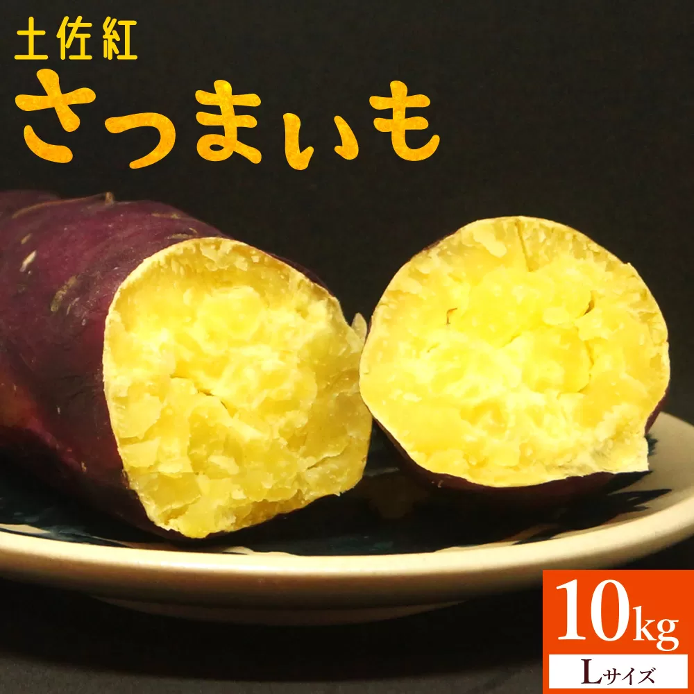 さつまいも(土佐紅) Lサイズ 10kg- サツマイモ さつま芋 野菜 焼き芋 やきいも 焼いも 蒸し芋 おやつ スイーツ スイートポテト 国産 アスタ農園 高知県 香南市【常温】 at-0006
