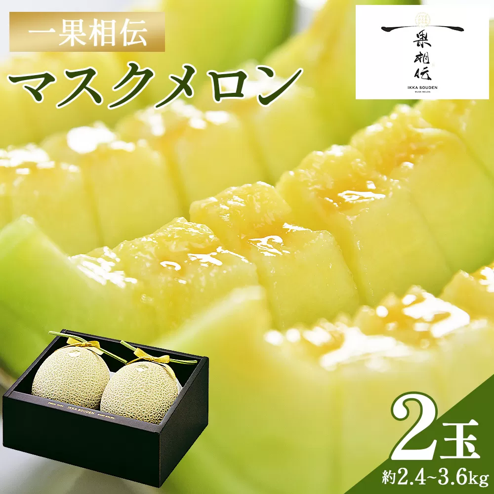 【14日程度で発送】【期間限定】一果相伝 マスクメロン 2玉入り - 送料無料 めろん 青肉 果物 くだもの フルーツ 贈答用 贈答品 贈り物 ギフト お祝い 御祝い 感謝 熨斗 のし対応可 産地直送 新鮮 高級 贅沢 ぜいたく ご褒美 ごほうび おいしい 美味しい 甘い あまい フレッシュ ジューシー 果汁 果肉 果実 スイーツ デザート 特別 プレゼント おとりよせ お取り寄せ グルメ 大きい 記念日 誕生日 お中元 お歳暮 箱入り とくのう 篤農 高知県 香南市 常温  tn-0012