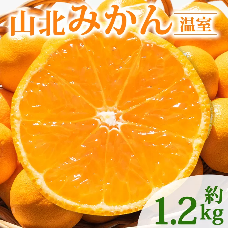 [先行予約]山北温室みかん 約1.2kg - 秀品 果物 くだもの フルーツ 柑橘 ミカン 蜜柑 甘い あまい おいしい フルーツ 贈り物 ギフト プレゼント お取り寄せ おとりよせ グルメ 産地直送 特産品 デザート 旬 季節 国産 ジューシー フレッシュ 爽やか ご自宅用 おすそ分け 果実 みずみずしい 御礼 お礼 内祝い ジャム ママレード 料理 アレンジ 期間限定 数量限定 送料無料 のし対応可 熨斗 高知県 香南市 常温 ku-0021