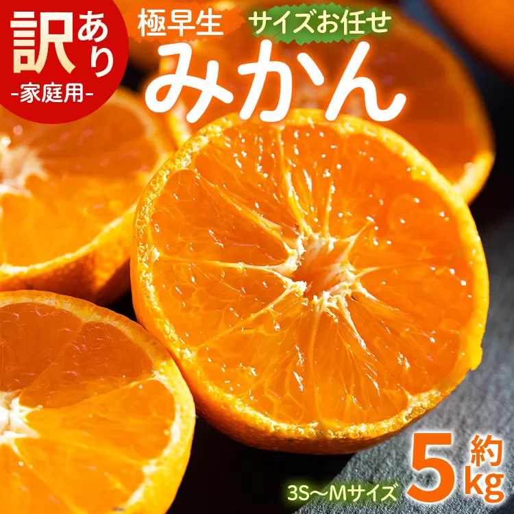 訳あり(家庭用) サイズお任せ 極早生みかん 5kg 3S～Mサイズ - 訳アリ フルーツ 果物 くだもの 果実 甘い あまい 酸味 蜜柑 ミカン 柑橘 ご自宅用 旬 季節 かなや農園 合同会社Benifare 国産 特産品 高知県 香南市 常温 be-0098