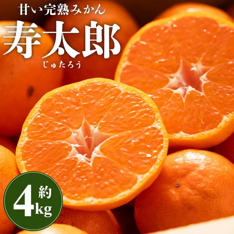 甘い完熟みかん 寿太郎（じゅたろう）約4kg - 送料無料 フルーツ 果物 くだもの ミカン 蜜柑 柑橘類 あまい おいしい 数量限定 期間限定 季節もの 間城農園 高知県 香南市 ms-0068