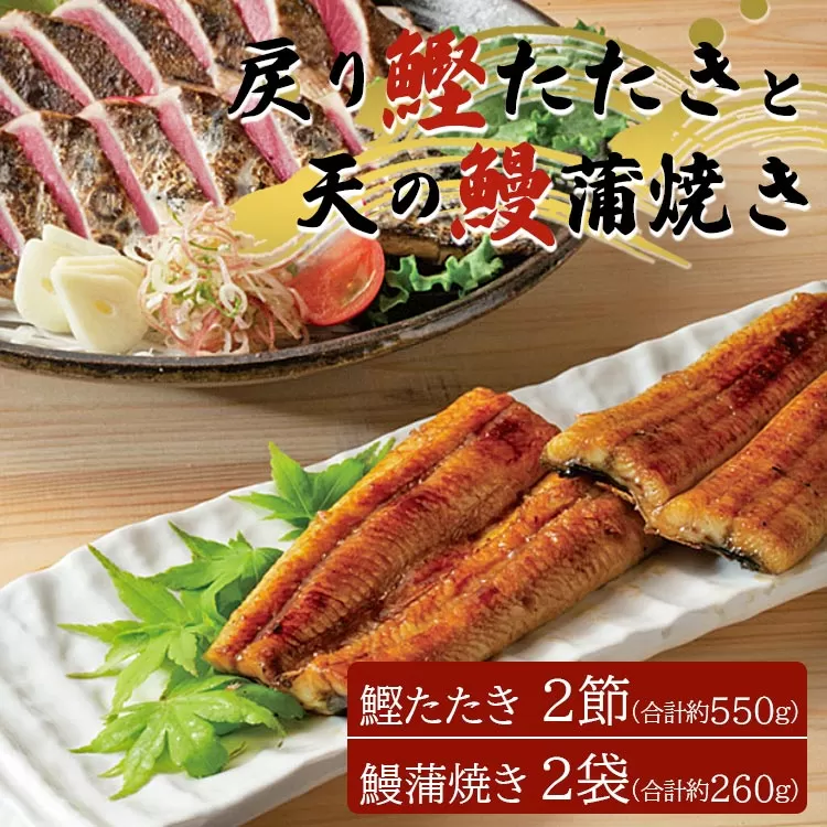 戻り鰹たたき 2節+天の鰻蒲焼き 2袋 (合計約550g+合計260g) - 送料無料 かつお カツオ うなぎ ウナギ 蒲焼き かばやき 魚 さかな 肴 おつまみ のし 熨斗 対応可 配送時間帯指定可 丑の日 スタミナ うな丼 うな重 贅沢 ぜいたく お祝い お礼 御礼 贈答品 贈答用 贈り物 ギフト お酒 晩酌 夕食 夕飯 特産品 美味しい おいしい おとりよせ お取り寄せ グルメ 惣菜 そうざい 和食 一品 炭火焼き 養殖 老舗 食べきりサイズ 土佐料理司 高知県 香南市 冷凍 tr-0017
