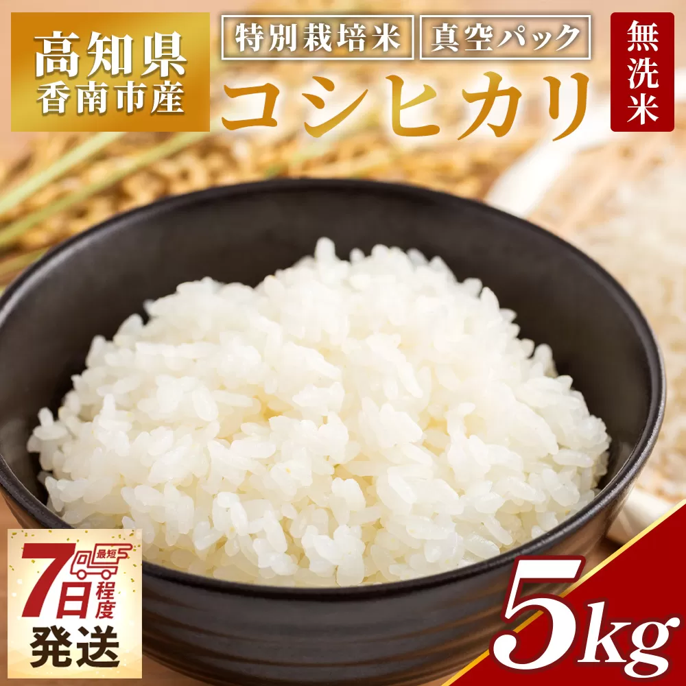 無洗米 高知県香南市産 特別栽培米 真空パック コシヒカリ 5kg - 国産 米 お米 おこめ こしひかり 白米 ごはん おにぎり おむすび ご飯 防災 非常食 備蓄 農業公社 高知県 香南市 常温 nu-0002