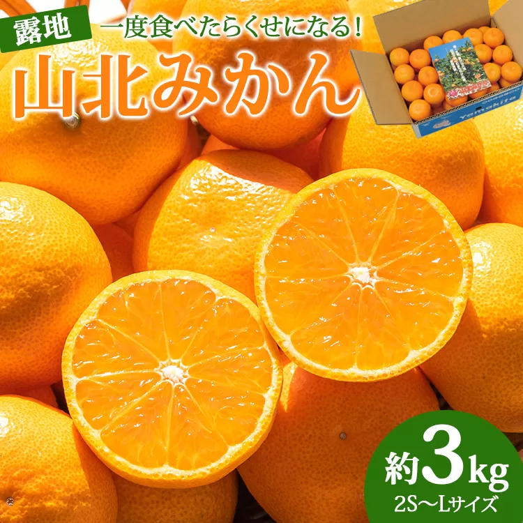 [2025年発送分]山北みかん 約3kg(露地栽培 2S〜Lサイズ)一度食べたらくせになる!みかん ミカン 蜜柑 常温みかん ブランドみかん 果物 フルーツ 産地直送 高知県産 JA高知 常温 ku-0042