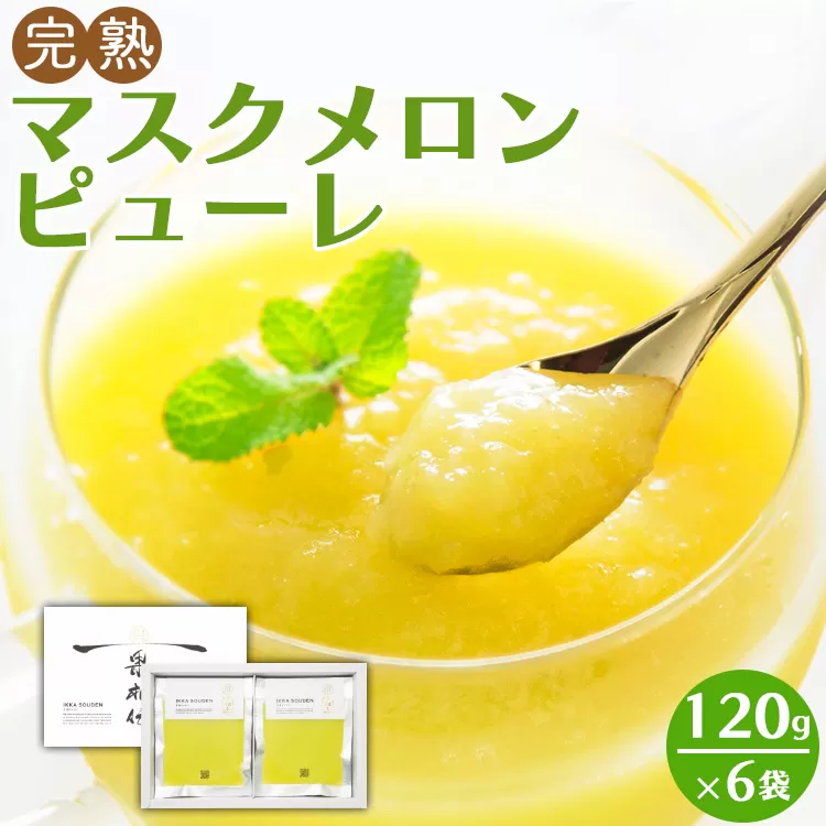 完熟マスクメロンピューレ 120g×6袋 - 送料無料 果物 フルーツ めろん 果実 果汁100％ 丸搾り おもてなし おやつ ジュース シャーベット アイス アレンジ デザート 贈答用 贈り物 のし 篤農 高知県 香南市 冷凍 tn-0007