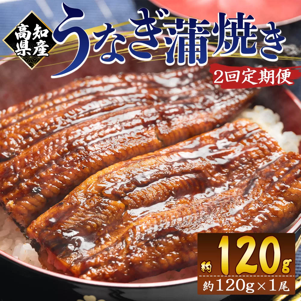 【２回定期便】高知県産養殖うなぎ蒲焼き 100〜120g 1尾 うなぎ 魚介 国産 海鮮 魚 かばやき 鰻 ウナギ 惣菜 おかず お手軽 加工品 加工食品 冷凍 Wfb-0033