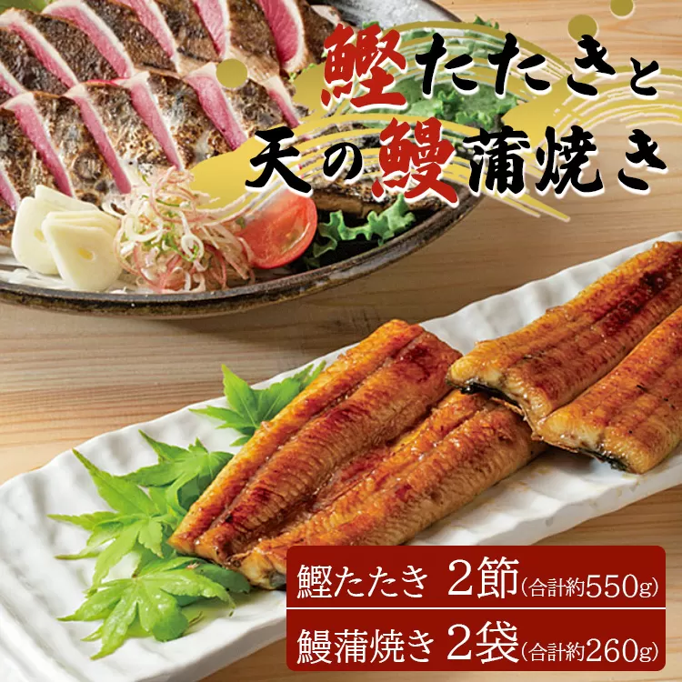 鰹たたき 2節+天の鰻蒲焼き 2袋 (合計約550g+合計260g) - 送料無料 かつお カツオ うなぎ ウナギ 蒲焼き かばやき 魚 さかな 肴 おつまみ のし 熨斗 対応可 配送時間帯指定可 丑の日 スタミナ うな丼 うな重 贅沢 ぜいたく お祝い お礼 御礼 贈答品 贈答用 贈り物 ギフト お酒 晩酌 夕食 夕飯 特産品 美味しい おいしい おとりよせ お取り寄せ グルメ 惣菜 そうざい 和食 一品 炭火焼き 養殖 老舗 食べきりサイズ 土佐料理司 高知県 香南市 冷凍  tr-0017