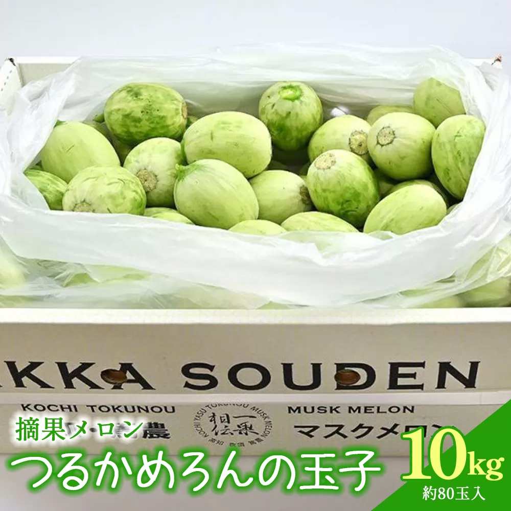 つるかめろんの玉子(摘果メロン) 10kg 約80玉 - マスクメロン めろん フルーツ くだもの 果物 おやつ おつまみ アレンジ 料理 お漬物 お漬け物 炒め物 天ぷら 子メロン 小さい 産地直送 篤農 tn-0017