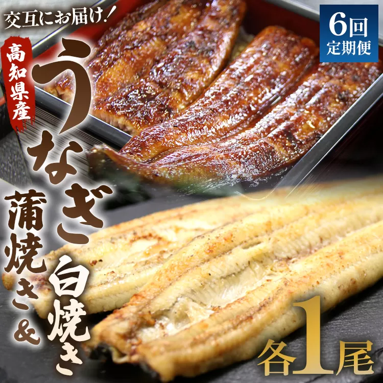 うなぎ 定期便 6回 うなぎ蒲焼き&白焼き120g 1尾(無頭)　交互にお届け 魚介 国産 海鮮 魚 かばやき 鰻 ウナギ 惣菜 おかず お手軽 加工品 加工食品 冷凍 しらやき セット 食べ比べ Wun-0045