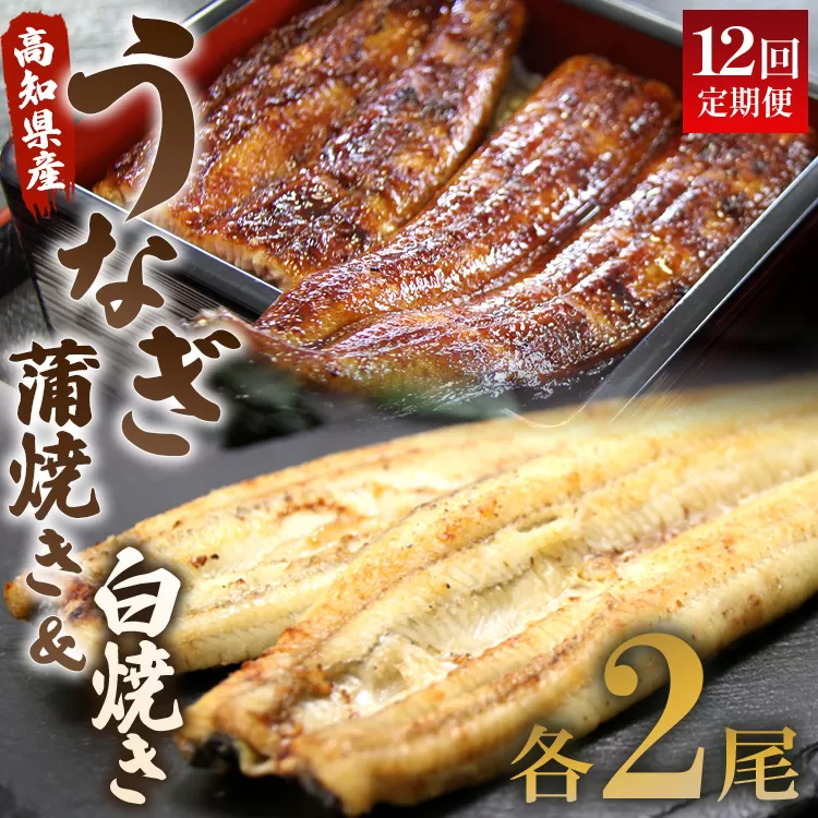 うなぎ 定期便 12回 うなぎ 蒲焼き 白焼き セット 120g 各2尾(無頭) 魚介 国産 海鮮 魚 かばやき 鰻 ウナギ 惣菜 おかず お手軽 しらやき 加工品 加工食品 冷凍 Wun-0058