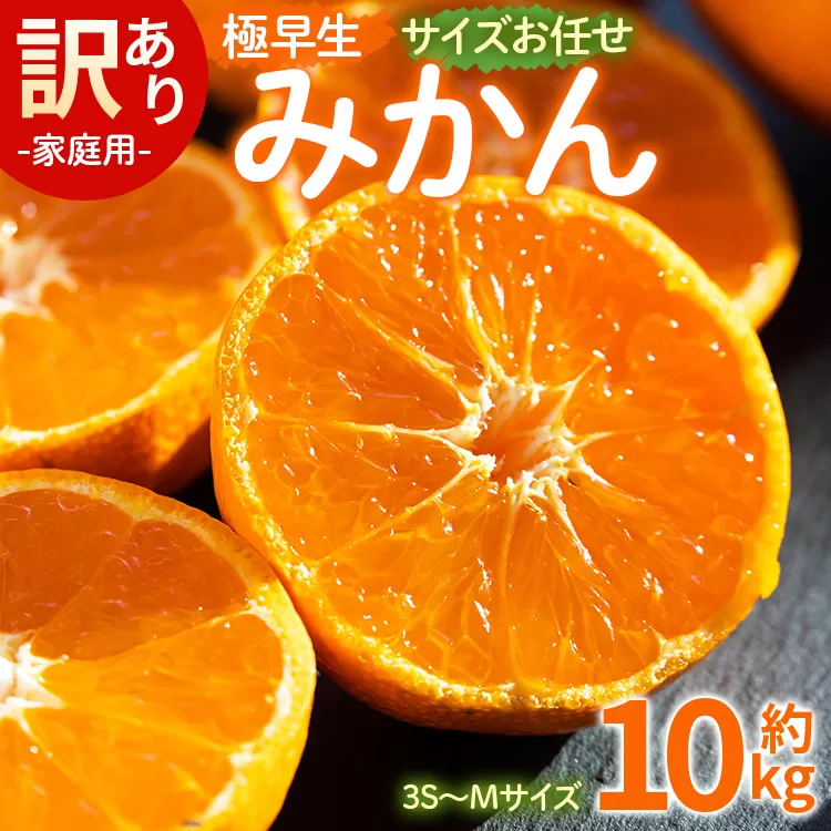 訳あり(家庭用) サイズお任せ 極早生みかん 10kg 3S～Mサイズ - 訳アリ フルーツ 果物 くだもの 果実 甘い あまい 酸味 蜜柑 ミカン 柑橘 ご自宅用 旬 季節 かなや農園 合同会社Benifare 国産 特産品 高知県 香南市 常温 be-0101