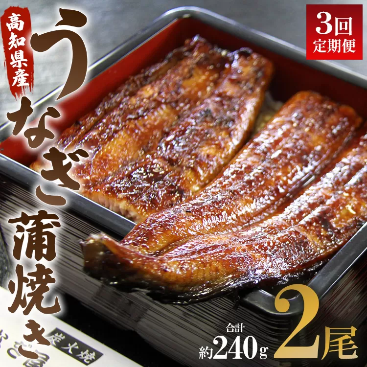 うなぎ 定期便 3回 うなぎ蒲焼き120g 2尾(無頭) 魚介 国産 海鮮 魚 かばやき 鰻 ウナギ 惣菜 おかず お手軽 加工品 加工食品 冷凍 Wun-0024