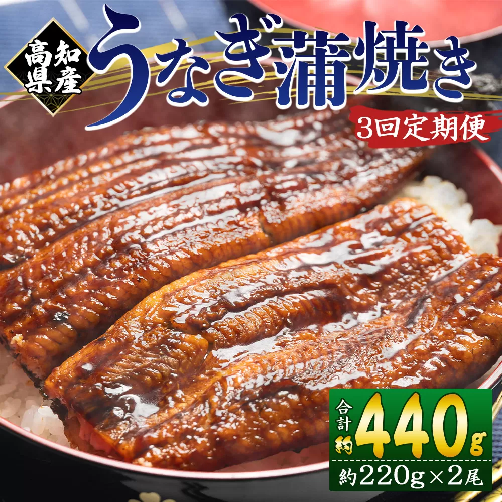 【３回定期便】高知県産養殖うなぎ蒲焼き 約220g×2尾 うなぎ 魚介 国産 海鮮 魚 かばやき 鰻 ウナギ 惣菜 おかず お手軽 加工品 加工食品 冷凍 Wfb-0062