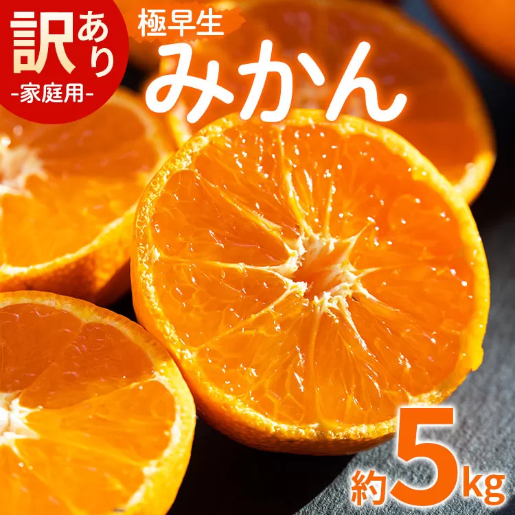家庭用 訳あり 極早生みかん 約5kg - 送料無料 訳アリ フルーツ 果物 くだもの 果実 甘い あまい 酸味 蜜柑 ミカン 柑橘 ご自宅用 旬 季節 オレンジ みずみずしい フレッシュ ジューシー 果汁 爽やか さわやか ごくわせ 早生 わせ お取り寄せ おとりよせ 皮 傷 キズ 箱 ジャム ジュース ママレード マーマレード おいしい 美味しい かなや農園 合同会社Benifare 国産 特産品 高知県 香南市 常温