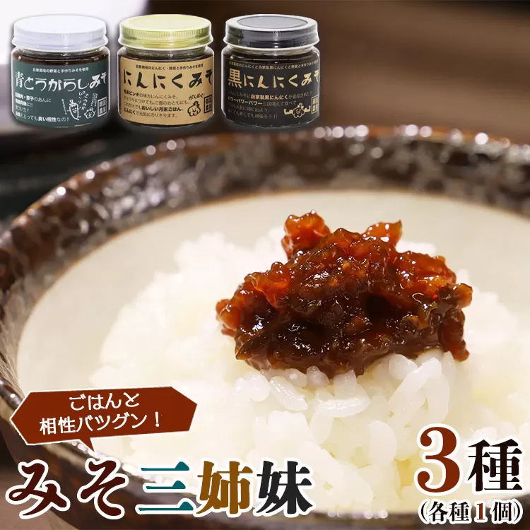 南国農家 ごはんをおいしくする みそ三姉妹（にんにくみそ、黒にんにくみそ、青とうがらしみそ）ng-0005