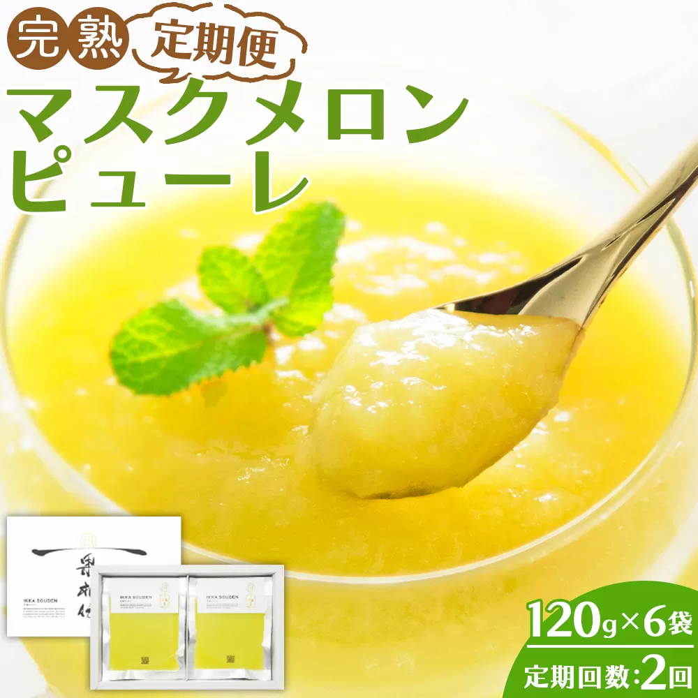 【2回定期便】完熟マスクメロンピューレ 120g×6袋 - JALファーストクラス機内食に採用 果物 くだもの フルーツ めろん 果汁100％ まるごと アイス シャーベット デザート スイーツ 篤農 高知県 香南市 冷凍 Wtn-0030