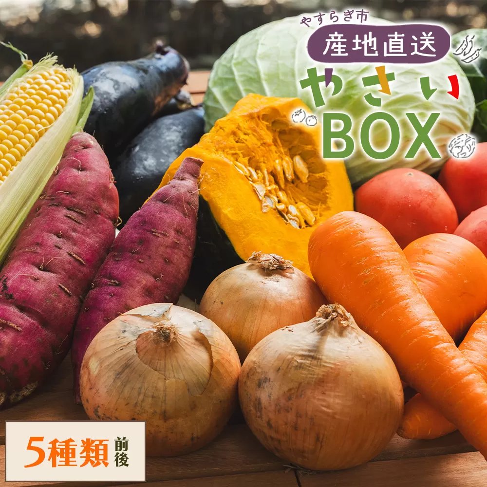 やすらぎ市 産地直送やさいBOX(5種類前後) - 野菜 ベジタブル おまかせ 詰め合わせ セット 季節 旬 お任せ お楽しみ ヘルシー 国産 特産品 送料無料 やすらぎ市 高知県 香南市 yr-0027