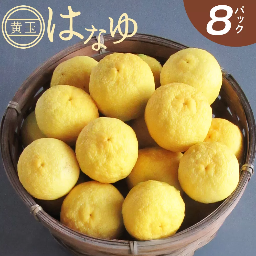 虎弥太郎 はなゆ黄玉 8パック - 国産 ゆず 柚子 ユズ 花柚子 柑橘 香酸柑橘 果物 花皮果汁 フルーツ 果実 料理 酒 ハイボール 焼酎 アレンジ 焼き魚 小分け おすそ分け 高知県 香南市 冷蔵 hy-0003