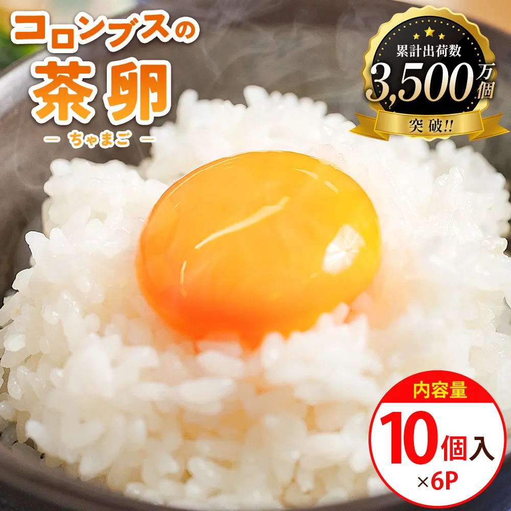 コロンブスの茶卵 10個入×6P - 卵 生卵 茶卵 濃厚 卵黄 卵白 生臭みなし 透明感 卵かけご飯 たまご 玉子 朝ごはん オムライス 鶏卵 国産 株式会社ぶらうん こっこらんどフジグラン野市店 高知県 香南市 kl-0005