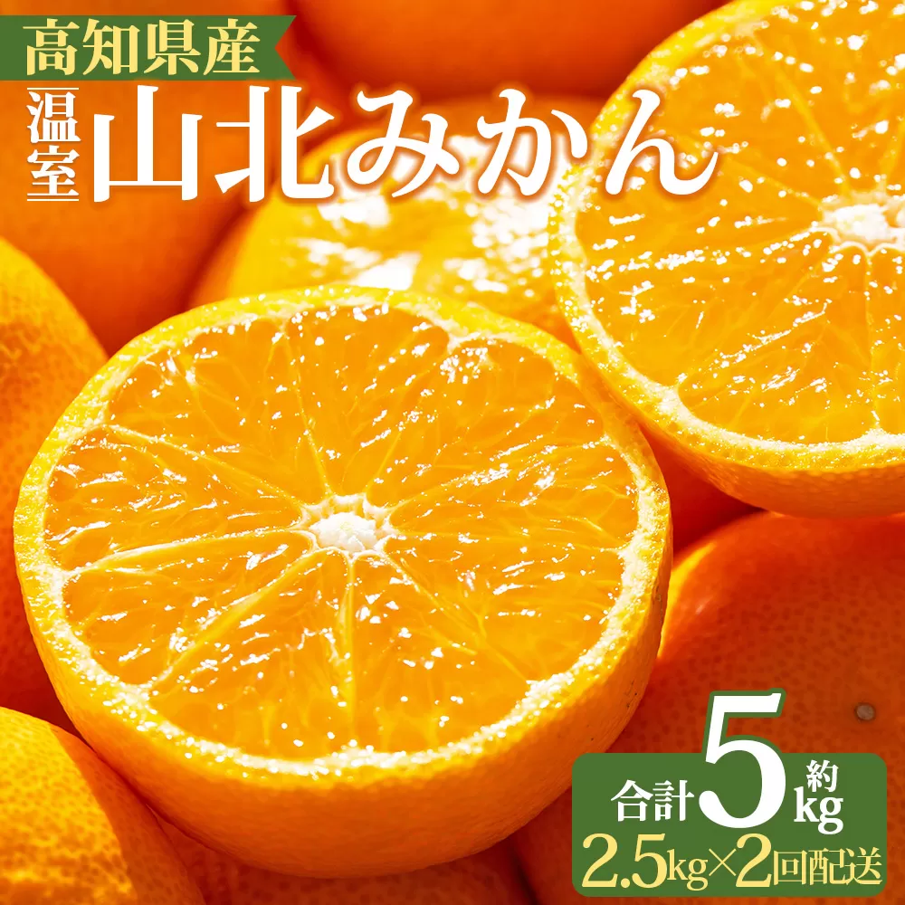 【2回定期便】山北温室みかん 2.5kg  - 秀品 果物 くだもの フルーツ 柑橘 蜜柑 お歳暮 ギフト 産地直送 送料無料 小玉大玉 国産 品種 御礼 お礼 高知県 香南市  Wku-0061
