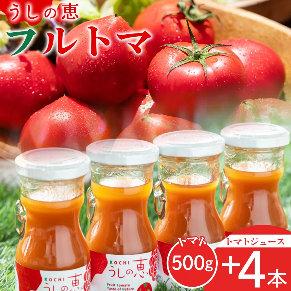 野菜ソムリエが育てた うしの惠フルーツトマト500g+トマトジュース4本 - セット フルーツ トマト トマトジュース 野菜 青果 飲料 飲み物 野菜ジュース とまと 期間限定 産地直送 ギフト 贈り物 季節品 眞嶋農園 高知県 香南市 常温 mj-0026