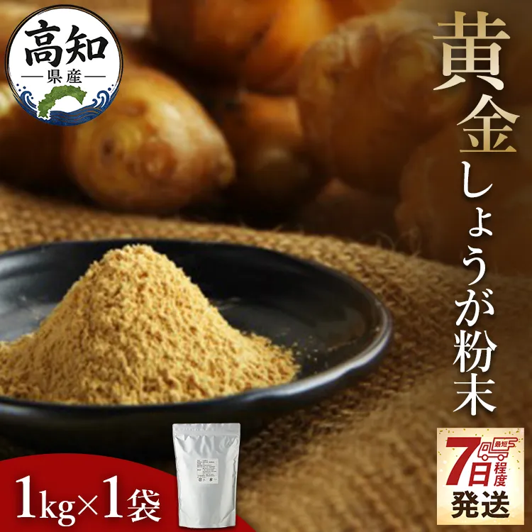【7日程度で発送】黄金しょうが粉末 1kg - 送料無料 早い スピード発送 7日程度 早く 届く 生姜 ジンジャー のし対応不可 数量限定 ジンジャーパウダー 生姜粉末 からだぽかぽか 冷え症対策 国産 特産品 しょうが ショウガ 高知県産 野菜 坂田信夫商店 高知県 香南市 常温 Xnb-0010