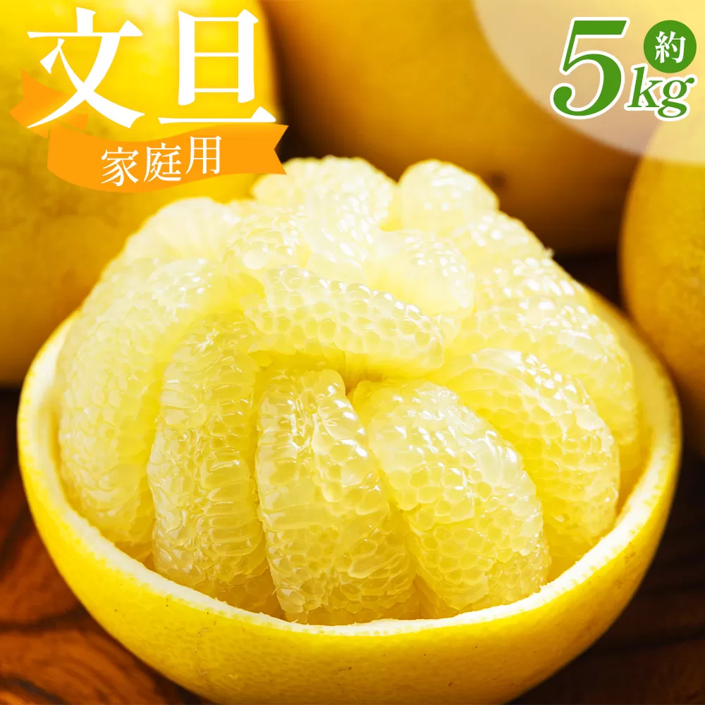 文旦 5kg 家庭用 混合（L〜2Lサイズ） - 国産 文旦 高知 訳あり キズ 不揃い ぶんたん ブンタン わけあり 5キロ 果物 柑橘 フルーツ 特産品 香南市 高知県 常温 nm-0001