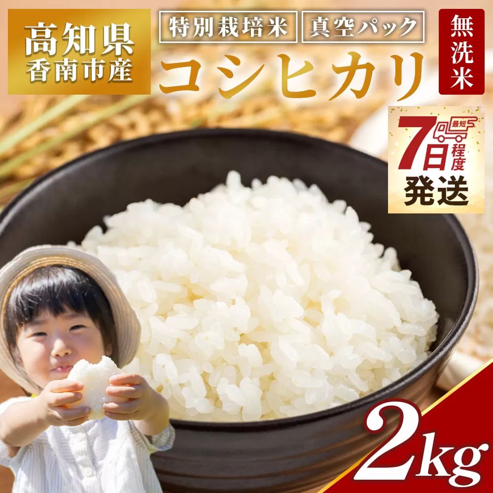 【7日程度で発送】【令和7年産】無洗米 高知県香南市産 特別栽培米 真空パック コシヒカリ 2kg - 国産 米 お米 おこめ こしひかり 白米 ごはん おにぎり おむすび ご飯 防災 非常食 備蓄 農業公社 高知県 香南市 常温 nu-0001