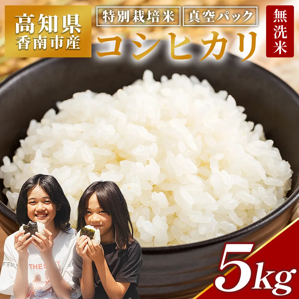 【令和8年産】コシヒカリ 無洗米 特別栽培米 真空パック 5kg - 国産 米 お米 おこめ こしひかり 白米 ごはん おにぎり おむすび ご飯 防災 非常食 備蓄 農業公社 高知県 香南市 nu-0002