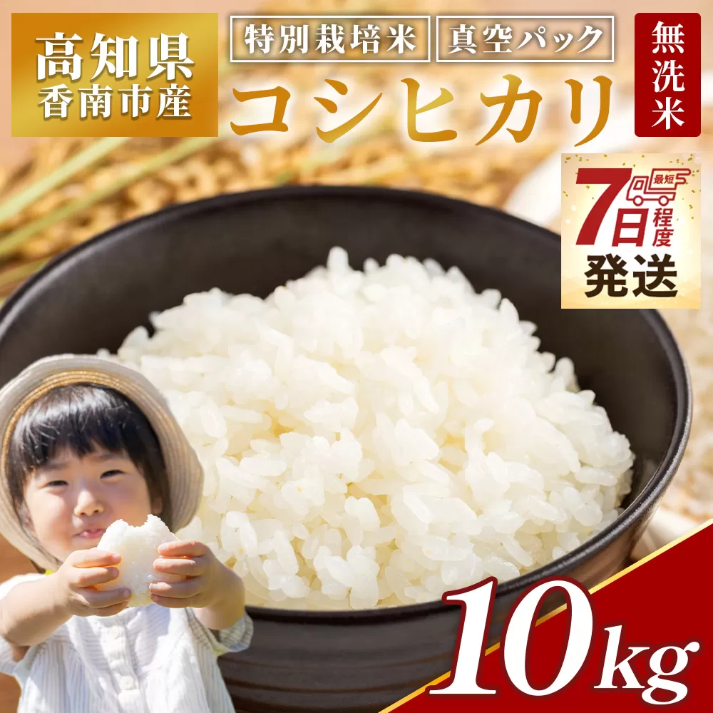 無洗米 高知県香南市産 特別栽培米 真空パック コシヒカリ 10kg - 国産 米 お米 おこめ こしひかり 白米 ごはん おにぎり おむすび ご飯 農業公社 高知県 香南市 常温 nu-0004