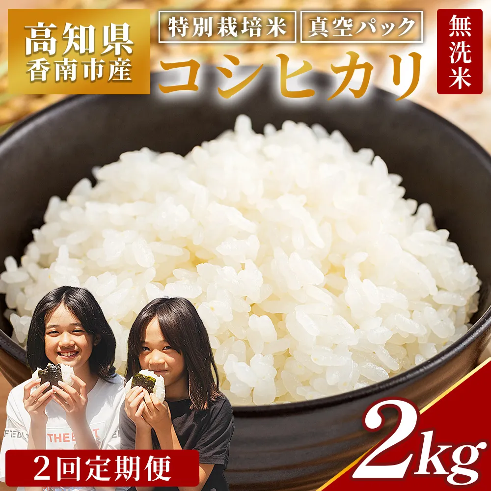 【２回定期便】令和8年産 高知県香南市産 特別栽培米 コシヒカリ 2kg - 国産 米 お米 こしひかり 白米 ごはん おにぎり ご飯 防災 非常食 備蓄 農業公社 高知県 香南市 常温 Wnu-0006