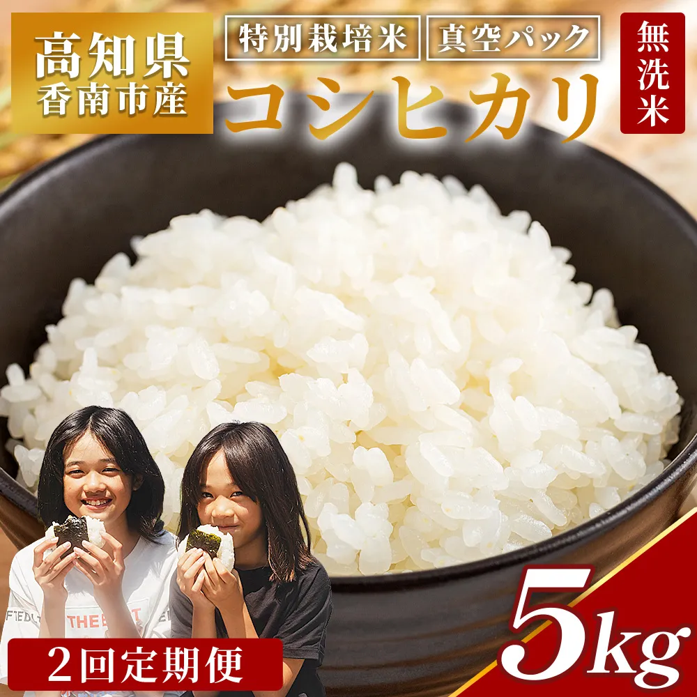 【２回定期便】令和8年産 高知県香南市産 特別栽培米 コシヒカリ 5kg - 国産 米 お米 こしひかり 白米 ごはん おにぎり ご飯 防災 非常食 備蓄 農業公社 高知県 香南市 常温 Wnu-0007
