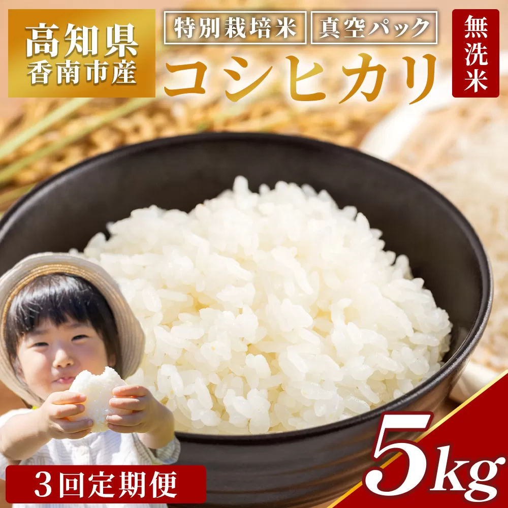 【3回定期便】令和7年産 高知県香南市産 特別栽培米 コシヒカリ 5kg - 国産 米 お米 2キロ こしひかり 白米 どうぞ ごはん おにぎり ご飯 防災 非常食 備蓄 kome 高知県 香南市 常温 Wnu-0012