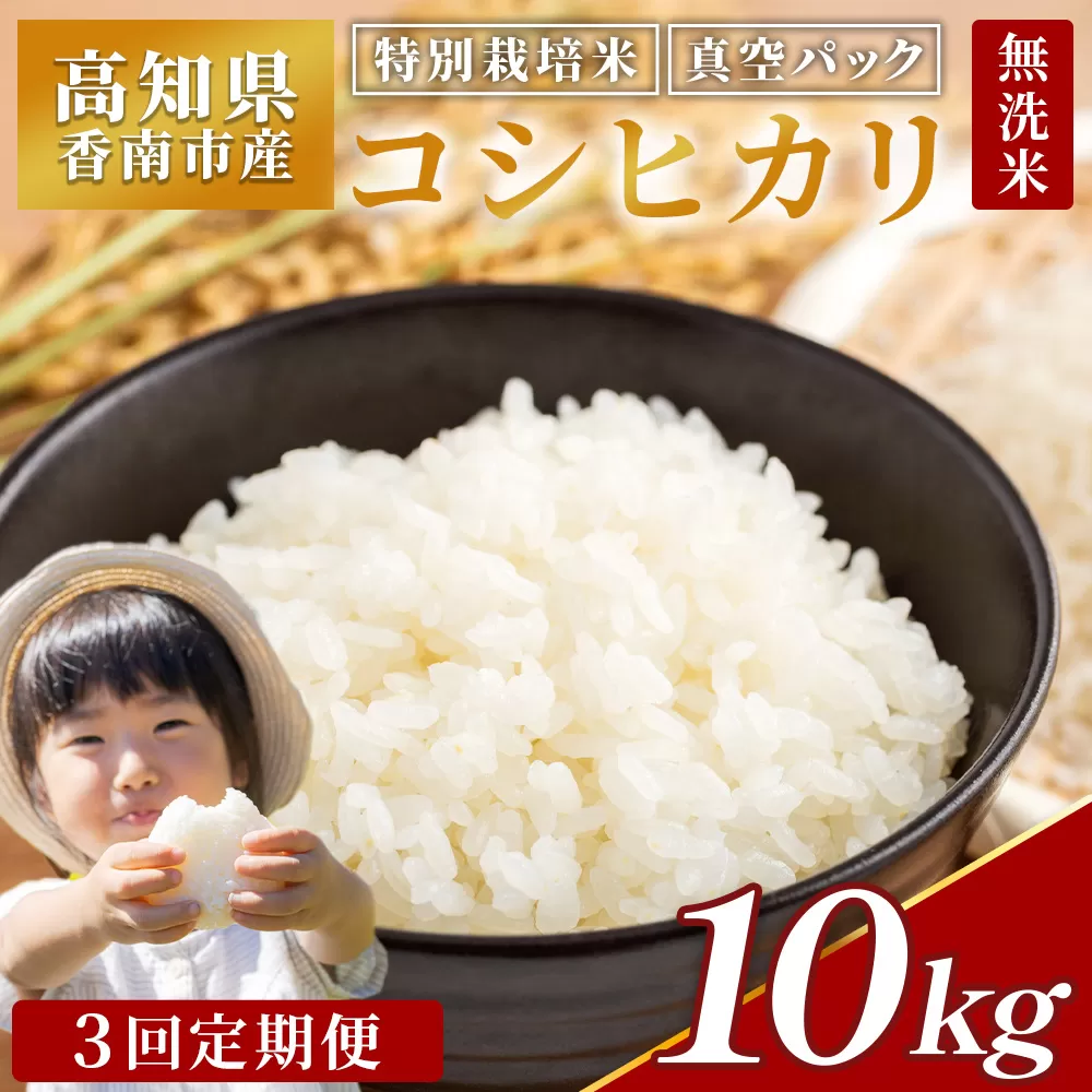 【3回定期便】令和7年産 高知県香南市産 特別栽培米 コシヒカリ 10kg - 国産 米 お米 2キロ こしひかり 白米 どうぞ ごはん おにぎり ご飯 防災 非常食 備蓄 kome 高知県 香南市 常温 Wnu-0013