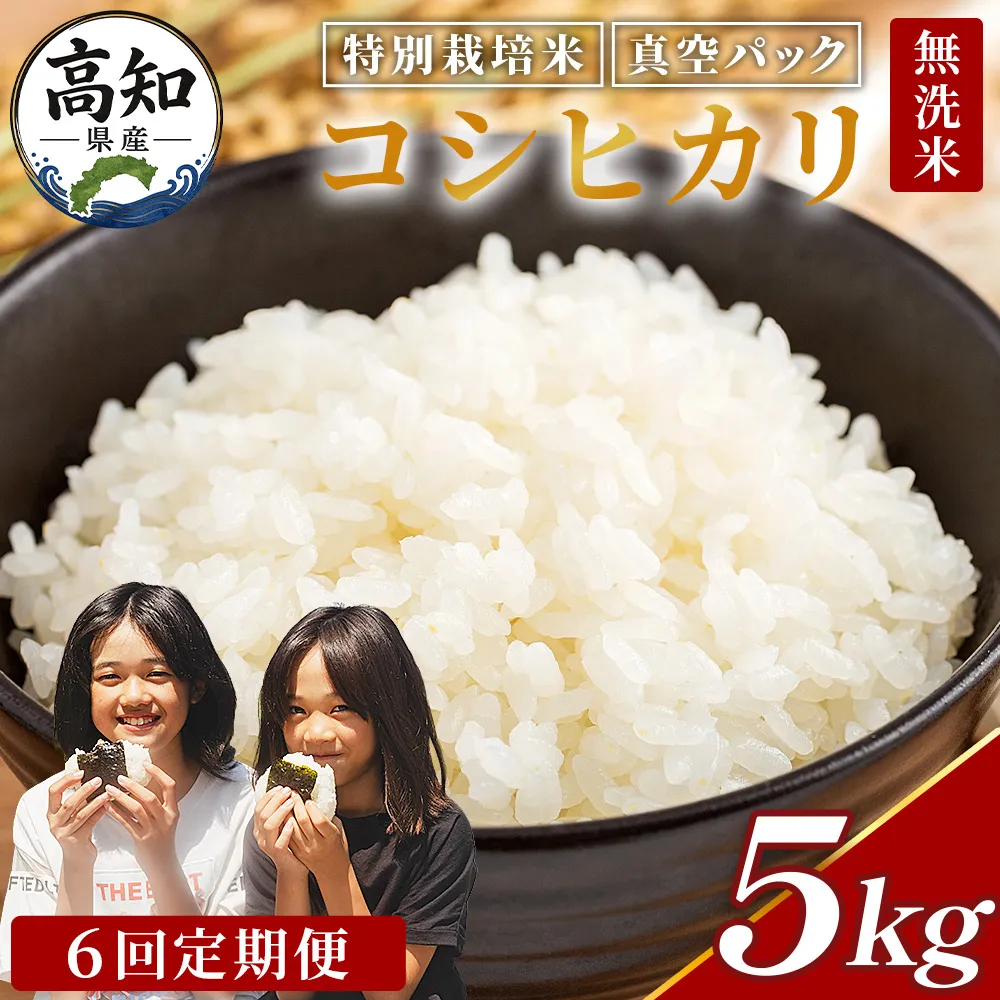 【6回定期便】令和8年産 高知県香南市産 特別栽培米 コシヒカリ 5kg - 国産 米 お米 こしひかり 白米 どうぞ ごはん おにぎり ご飯 防災 非常食 備蓄 kome 高知県 香南市 常温 Wnu-0015
